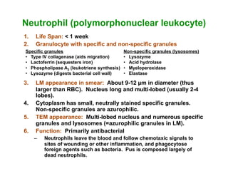 Polymorphonuclear Function 10.29.089(b): Blood and Bone Marrow | PDF
