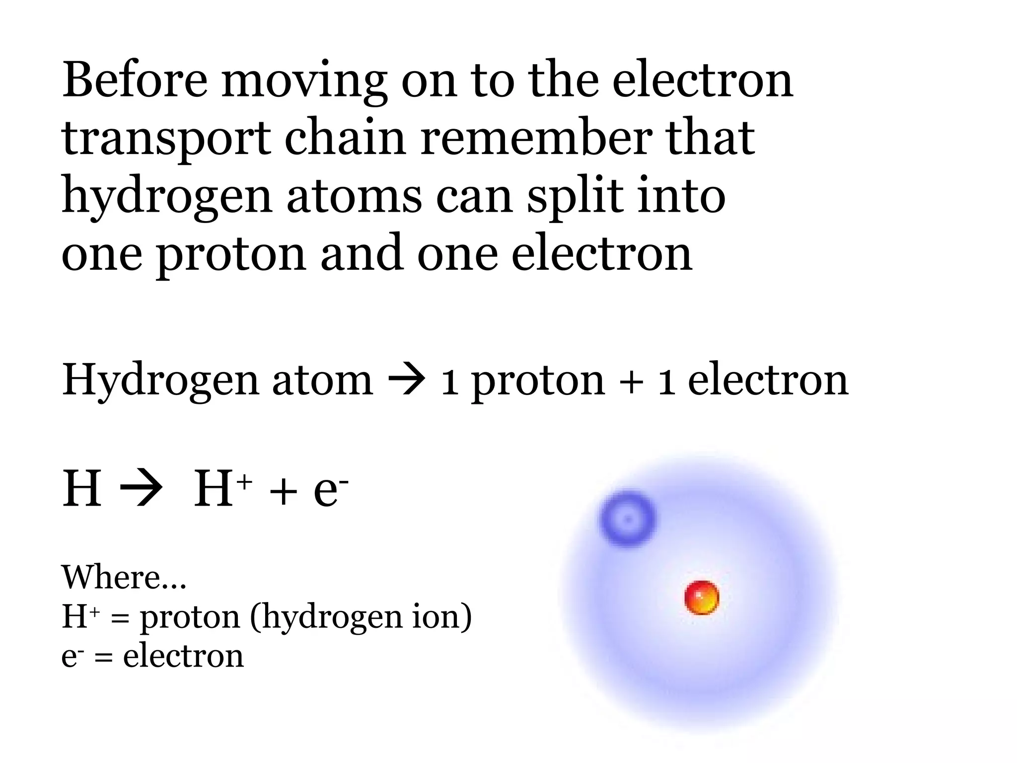Before moving on to the electron transport chain remember that hydrogen atoms can split into one proton and one electron Hydrogen atom    1 proton + 1 electron H     H +  + e - Where… H +  = proton (hydrogen ion) e -  = electron 