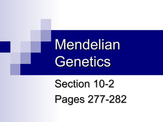 MendelianMendelian
GeneticsGenetics
Section 10-2Section 10-2
Pages 277-282Pages 277-282
 