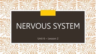NERVOUS SYSTEM
Unit 6 – Lesson 2
 