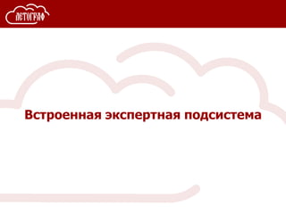 Встроенная экспертная подсистема
 