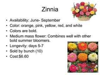 Zinnia Availability: June- September Color: orange, pink, yellow, red, and white Colors are bold. Medium mass flower: Combines well with other bold summer bloomers. Longevity: days 5-7 Sold by bunch (10) Cost:$6.60 