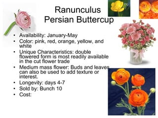 Ranunculus  Persian Buttercup Availability: January-May Color: pink, red, orange, yellow, and white Unique Characteristics: double flowered form is most readily available in the cut flower trade Medium mass flower: Buds and leaves can also be used to add texture or interest. Longevity: days 4-7 Sold by: Bunch 10 Cost:  