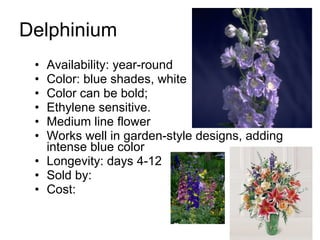 Delphinium Availability: year-round Color: blue shades, white Color can be bold;  Ethylene sensitive. Medium line flower Works well in garden-style designs, adding intense blue color Longevity: days 4-12 Sold by: Cost: 