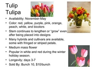 10 6 Business Records | PPT