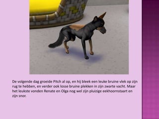 De volgende dag groeide Pitch al op, en hij bleek een leuke bruine vlek op zijn
rug te hebben, en verder ook losse bruine plekken in zijn zwarte vacht. Maar
het leukste vonden Renate en Olga nog wel zijn pluizige eekhoornstaart en
zijn snor.
 