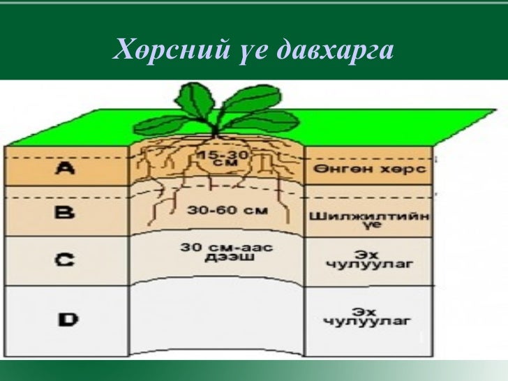 газарзүй хөрс . 10-р анги д. ариунзул 85