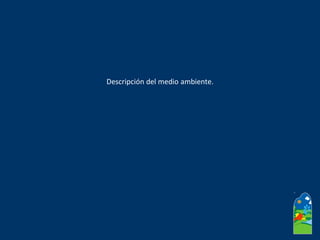 Descripción del medio ambiente.
 