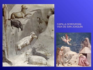 CAPILLA SCROVEGNI:
VIDA DE SAN JOAQUÍN
 