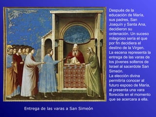 Después de la
                                    educación de María,
                                    sus padres, San
                                    Joaquín y Santa Ana,
                                    decidieron su
                                    ordenación. Un suceso
                                    milagroso sería el que
                                    por fin decidiera el
                                    destino de la Virgen.
                                    La escena representa la
                                    entrega de las varas de
                                    los jóvenes solteros de
                                    Israel al sacerdote San
                                    Simeón.
                                    La elección divina
                                    permitiría conocer al
                                    futuro esposo de María,
                                    al presenta una vara
                                    florecida en el momento
                                    que se acercara a ella.

Entrega de las varas a San Simeón
 