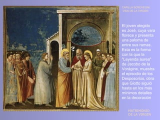 CAPILLA SCROVEGNI:
VIDA DE LA VIRGEN




El joven elegido
es José, cuya vara
florece y presenta
una paloma de
entre sus ramas.
Esta es la forma
con la que la
"Leyenda áurea"
de Jacobo de la
Vorágine, muestra
el episodio de los
Desposorios, obra
que Giotto siguió
hasta en los más
mínimos detalles
en la decoración


   MATRIMONIO
   DE LA VIRGEN
 