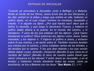 ENTRADA EN JERUSALEN

“Cuando se acercaban a Jerusalén, junto a Betfagé y a Betania,
frente al monte de los Olivos, Jesús envió dos de sus discípulos, y
les dijo: entrad en la aldea y luego que entréis en ella, hallareis un
pollino atado, en el cual ningún hombre ha montado; desatadlo y
traedlo. Y si alguien os dijere: ¿Por qué hacéis eso? decir que el
Señor lo necesita, y que luego lo devolverá. Fueron, y hallaron el
pollino atado afuera a la puerta, en el recodo del camino, y lo
desataron. Y unos de los que estaban ahí les dijeron: ¿Qué hacen
desatando el pollino? Ellos entonces les dijeron como Jesús había
mandado; y los dejaron ir. Y trajeron el pollino a Jesús, y echaron
sobre él sus mantos, y se sentó sobre él. También muchos tendían
sus mantos por el camino, y otros cortaban ramas de los árboles, y
las tendían por el camino. Y los que iban delante y los que venían
detrás daban voces, diciendo: ¡Hosanna! ¡Bendito el que viene en el
nombre del Señor! ¡Bendito el reino de nuestro padre David que
viene! ¡Hosanna en las alturas! Y entró Jesús en Jerusalén, y en el
templo; y habiendo mirado alrededor todas las cosas, como ya
anochecía, se fue a Betania con los doce.” San Mateo 21, 1-11
 