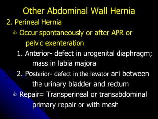 2. Perineal Hernia    Occur spontaneously or after APR or pelvic exenteration 1. Anterior- defect in urogenital diaphragm; mass in labia majora 2. Po sterior-   defect in the levator  ani between the urinary bladder and rectum    Repair= Transperineal or transabdominal  primary repair or with mesh   Other Abdominal Wall Hernia 