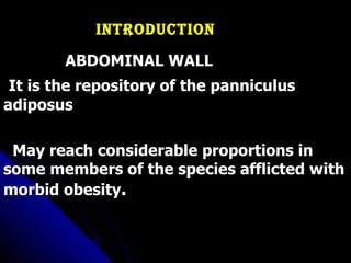 Introduction ABDOMINAL WALL It is the repository of the panniculus adiposus  May reach considerable proportions in some members of the species afflicted with morbid obesity . 