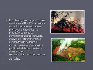 Entretanto, nos campos durante os séculos XIII e XIV, a política dos reis portugueses tentou promover e intensificar  a produção de cereais, aumentando a área cultivada, através de arroteamentos e queimadas de bosques e matas , secando  pântanos, e publicando leis que puniam o abandono ou subaproveitamento dos terrenos agrícolas . 