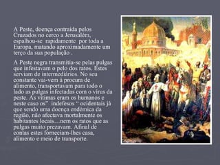A Peste, doença contraída   pelos Cruzados no cerco a Jerusalém, espalhou-se  rapidamente  por toda a Europa, matando aproximadamente um terço da sua população . A Peste negra transmitia-se pelas pulgas que infestavam o pelo dos ratos. Estes serviam de intermediários. No seu  constante vai-vem à procura de alimento, transportavam para todo o lado as pulgas infectadas com o vírus da peste. As vítimas eram os humanos e neste caso os”  indefesos “ ocidentais já que sendo uma doença endémica da região, não afectava mortalmente os habitantes locais…nem os ratos que as pulgas muito prezavam. Afinal de contas estes forneciam-lhes casa, alimento e meio de transporte.  