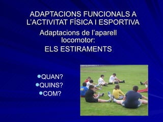 ADAPTACIONS FUNCIONALS A L’ACTIVITAT FÍSICA I ESPORTIVA Adaptacions de l’aparell locomotor: ELS ESTIRAMENTS QUAN? QUINS?  COM? 