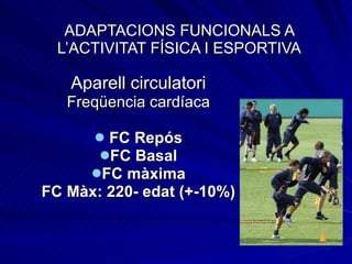 ADAPTACIONS FUNCIONALS A L’ACTIVITAT FÍSICA I ESPORTIVA Aparell circulatori Freqüencia cardíaca FC Repós FC Basal FC màxima FC Màx: 220- edat (+-10%) 