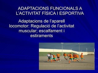 ADAPTACIONS FUNCIONALS A L’ACTIVITAT FÍSICA I ESPORTIVA Adaptacions de l’aparell locomotor: Regulació de l’activitat muscular; escalfament i estiraments 