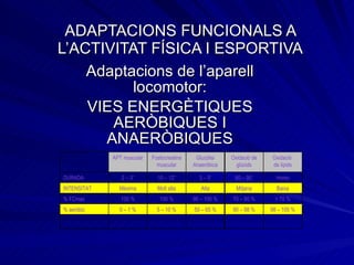 ADAPTACIONS FUNCIONALS A L’ACTIVITAT FÍSICA I ESPORTIVA Adaptacions de l’aparell locomotor: VIES ENERGÈTIQUES AERÒBIQUES I ANAERÒBIQUES 98 – 100 % 90 – 98 % 50 – 65 % 5 – 10 % 0 – 1 % % aeròbic > 70 % 70 – 90 % 90 – 100 % 100 % 100 % % FCmax Baixa Mitjana Alta Molt alta Màxima INTENSITAT Hores 60 – 90’ 3 – 5’ 10 – 12” 2 – 3” DURADA Oxidació  de lípids Oxidació de glúcids Glucólisi Anaeròbica Fosfocreatina muscular APT muscular 