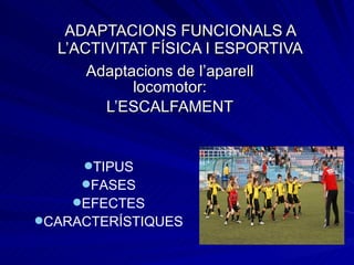 ADAPTACIONS FUNCIONALS A L’ACTIVITAT FÍSICA I ESPORTIVA Adaptacions de l’aparell locomotor: L’ESCALFAMENT TIPUS FASES EFECTES CARACTERÍSTIQUES 