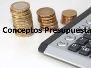 Conceptos Presupuestario 
 