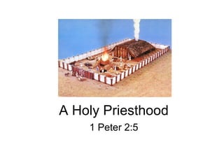 A Holy Priesthood
1 Peter 2:5
 