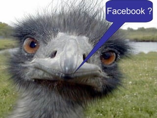 Facebook ?
 