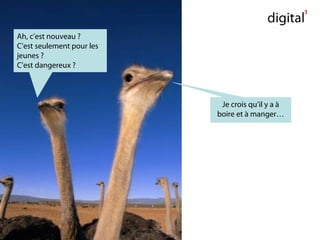 Ah, c’est nouveau ?
C’est seulement pour les
jeunes ?
C’est dangereux ?
Je crois qu’il y a à
boire et à manger…
 