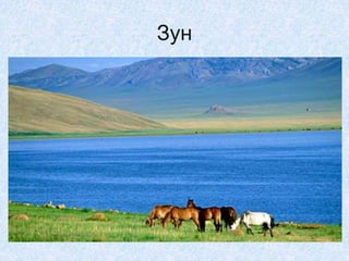 Зун
 