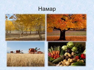 Намар
 
