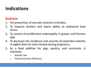 Indications
Bacitracin
1. For prevention of necrotic enteritis in broilers.
2. To improve broilers and layers ability to withstand heat
stress.
3. To control of proliferative enteropathy in grower and finisher
pigs.
4. To decrease the incidence and severity of clostridial enteritis
in piglets born to sows treated during pregnancy.
5. As a feed additive for pigs, poultry, and ruminants. It
improves:
– Growth rate
– Feed conversion efficiency
 
