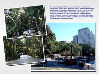 O parque Siqueira Campos, ou Trianon, como é mais
conhecido, é uma área de mata nativa, preservada desde
os tempos da abertura da avenida em 1891. Sua criação
já fora prevista desde o loteamento da região, por
Joaquim Eugênio de Lima, atualmente homenageado
como nome de uma das travessas da avenida. São duas
quadras de matas e jardins, cortadas por alamedas. Está
localizado em frente ao MASP.
 