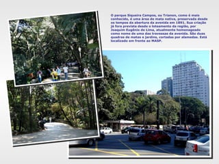 O parque Siqueira Campos, ou Trianon, como é mais conhecido, é uma área de mata nativa, preservada desde os tempos da abertura da avenida em 1891. Sua criação já fora prevista desde o loteamento da região, por Joaquim Eugênio de Lima, atualmente homenageado como nome de uma das travessas da avenida. São duas quadras de matas e jardins, cortadas por alamedas. Está localizado em frente ao MASP.  