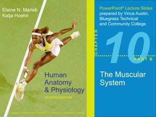 Human 
Anatomy 
& Physiology 
SEVENTH EDITION 
Elaine N. Marieb 
Katja Hoehn 
Copyright © 2006 Pearson Education, Inc., publishing as Benjamin Cummings 
PowerPoint® Lecture Slides 
prepared by Vince Austin, 
Bluegrass Technical 
and Community College 
C H A P T E R 
10 
The Muscular 
System 
P A R T B 
 