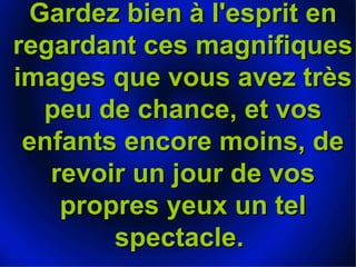 Gardez bien à l'esprit en regardant ces magnifiques images que vous avez très peu de chance, et vos enfants encore moins, de revoir un jour de vos propres yeux un tel spectacle.