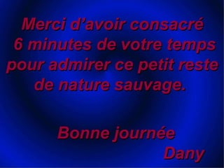 Merci d’avoir consacré 6 minutes de votre temps pour admirer ce petit reste de nature sauvage. Bonne journée Dany