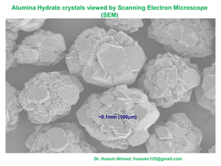 Alumina Hydrate crystals viewed by Scanning Electron Microscope
(SEM)
~0.1mm (100mm)
.
Dr. Hussin Ahmed, hussien135@gmail.com
 