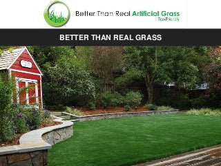 Better Than Real Grass
BETTER THAN REAL GRASS
 