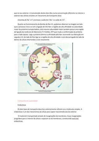 que no seu exterior. A manutenção destes dois iões numa concentração diferente no interior e
exterior das células envolve um mecanismo de transporte ativo.
A bomba de Na+ e K+ promove a saída de 3 Na+ e a saída de 2 K+.
Quanto ao funcionamento da Bomba de Na+ K+, podemos observar na imagem ao lado
que o processo inicia-se com a ligação de três Na+ a regiões de alta afinidade na subunidade
maior da proteína transportadora, esta mesma subunidade maior também possui uma região
de ligação da molécula de Adenosina Tri Fosfato, ATP que muda a conformação da proteína
para o lado oposto. Logo a proteína diminui a afinidade pelo Na+ ocorrendo sua liberação em
seguida o K+ do lado de fora liga-se a regiões de alta afinidade e será descarregado do lado de
dentro da célula retornando o ciclo novamente.

Transporte em quantidade
Endocitose
Os dois tipos de transporte descritos anteriormente referem-se a moléculas simples. A
endocitose é um dos mecanismos da célula para captar macromoléculas do exterior.
O material é transportado através de invaginações da membrana. Essas invaginações
progridem para o interior da célula e separam-se da membrana, constituindo vesículas
endocíticas.

 