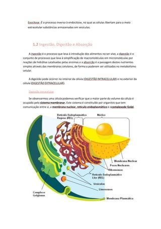 Exocitose -É o processo inverso à endocitose, no qual as células libertam para o meio
extracelular substâncias armazenadas em vesículas.

1.2 Ingestão, Digestão e Absorção
A ingestão é o processo que leva à introdução dos alimentos no ser vivo, a digestão é o
conjunto de processos que leva à simplificação de macromoléculas em micromoléculas por
reações de hidrólise catalisadas pelas enzimas e a absorção é a passagem destes nutrientes
simples através das membranas celulares, de forma a poderem ser utilizadas no metabolismo
celular.
A digestão pode ocorrer no interior da célula (DIGESTÃO INTRACELULAR) e no exterior da
célula (DIGESTÃO EXTRACELULAR).
Digestão intracelular
Se observarmos uma célula podemos verificar que a maior parte do volume da célula é
ocupado pelo sistema membranar. Este sistema é constituído por organitos que tem
comunicação entre si, a membrana nuclear, retículo endoplasmático e ocomplexode Golgi.

 