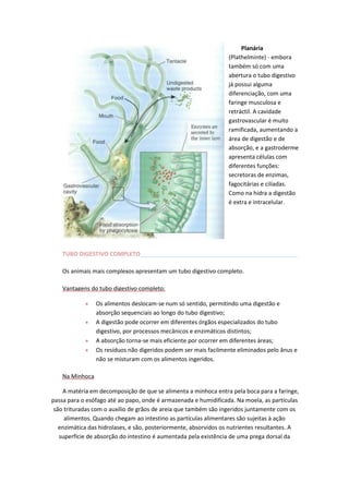 Planária
(Plathelminte) - embora
também só com uma
abertura o tubo digestivo
já possui alguma
diferenciação, com uma
faringe musculosa e
retráctil. A cavidade
gastrovascular é muito
ramificada, aumentando a
área de digestão e de
absorção, e a gastroderme
apresenta células com
diferentes funções:
secretoras de enzimas,
fagocitárias e ciliadas.
Como na hidra a digestão
é extra e intracelular.

TUBO DIGESTIVO COMPLETO_________________________________________________
Os animais mais complexos apresentam um tubo digestivo completo.
Vantagens do tubo digestivo completo:
Os alimentos deslocam-se num só sentido, permitindo uma digestão e
absorção sequenciais ao longo do tubo digestivo;
A digestão pode ocorrer em diferentes órgãos especializados do tubo
digestivo, por processos mecânicos e enzimáticos distintos;
A absorção torna-se mais eficiente por ocorrer em diferentes áreas;
Os resíduos não digeridos podem ser mais facilmente eliminados pelo ânus e
não se misturam com os alimentos ingeridos.
Na Minhoca
A matéria em decomposição de que se alimenta a minhoca entra pela boca para a faringe,
passa para o esófago até ao papo, onde é armazenada e humidificada. Na moela, as partículas
são trituradas com o auxílio de grãos de areia que também são ingeridos juntamente com os
alimentos. Quando chegam ao intestino as partículas alimentares são sujeitas à ação
enzimática das hidrolases, e são, posteriormente, absorvidos os nutrientes resultantes. A
superfície de absorção do intestino é aumentada pela existência de uma prega dorsal da

 
