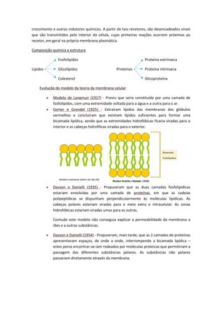 crescimento e outros indutores químicos. A partir de tais recetores, são desencadeados sinais
que são transmitidos pelo interior da célula, cujas primeiras reações ocorrem próximas ao
recetor, em geral na própria membrana plasmática.
Composição química e estrutura
Fosfolípidos
Lípidos

Glicolípidos

Proteína extrínseca
Proteínas

Colesterol

Proteína intrinseca
Glicoproteína

Evolução do modelo da teoria da membrana celular
Modelo de Langmuir (1917) - Previu que seria constituída por uma camada de
fosfolípidos, com uma extremidade voltada para a água e a outra para o ar.
Gorter e Grendel (1925) - Extraíram lípidos das membranas dos glóbulos
vermelhos e concluíram que existiam lípidos suficientes para formar uma
bicamada lipídica, sendo que as extremidades hidrofóbicas ficaria viradas para o
interior e as cabeças hidrofílicas viradas para o exterior.

Davson e Danielli (1935) - Propuseram que as duas camadas fosfolipídicas
estariam envolvidas por uma camada de proteínas, em que as cadeias
polipeptídicas se dispunham perpendicularmente às moléculas lipídicas. As
cabeças polares estariam viradas para o meio extra e intracelular. As zonas
hidrofóbicas estariam viradas umas para as outras.
Contudo este modelo não conseguia explicar a permeabilidade da membrana a
iões e a outras substâncias.
Davson e Danielli (1954) - Propuseram, mais tarde, que as 2 camadas de proteínas
apresentavam espaços, de onde a onde, interrompendo a bicamada lipídica –
estes poros encontrar-se-iam rodeados por moléculas proteicas que permitiriam a
passagem das diferentes substâncias polares. As substâncias não polares
passariam diretamente através da membrana.

 