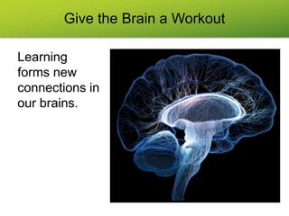 Give the Brain a Workout
Learning
forms new
connections in
our brains.
 