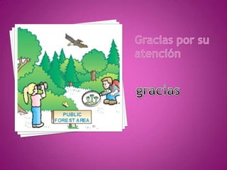 Gracias por su atención gracias