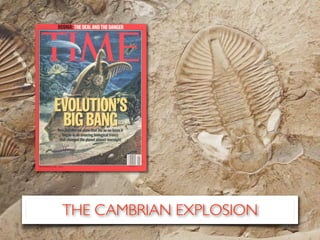 THE CAMBRIAN EXPLOSION
 