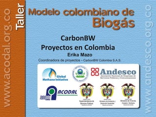 CarbonBW
 Proyectos en Colombia
                  Erika Mazo
Coordinadora de proyectos - CarbonBW Colombia S.A.S.
 