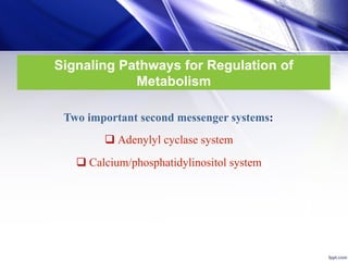 10- Cell Signaling and Regulation of Metabolism (1).pdf