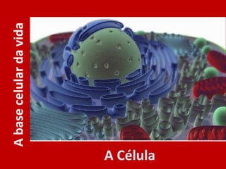 A
base
celular
da
vida
A Célula
 