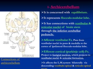 10-cerebellum.ppt